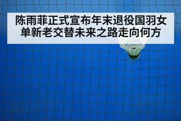 badminton training court